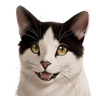 CodingPanda42's avatar