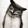dima p's avatar