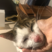 melban99's avatar