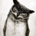 dima p's avatar