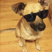 neilshah86's avatar