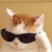 NNayak's avatar
