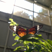 Lunaticus94's avatar