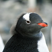 ryopenguin's avatar