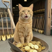 boleng's avatar