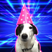 duolol's avatar