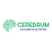 cerebruminfotech's avatar