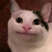 vioishere's avatar