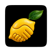 conexaremote's avatar