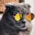 wicked_prophet's avatar