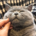 ZhouBai Meng's avatar
