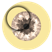 Differson LLC's avatar