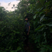 raunaqss's avatar