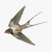 MRR-scaler's avatar