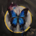 teitoklien's avatar