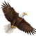 OsMonitor's avatar