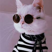 stellawinxie's avatar