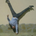 k_ivanow's avatar