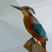 Caleb Whiting's avatar