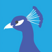 disc0turk3y's avatar