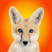 AndreFuchs's avatar