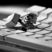 DevDavid's avatar