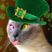 Mads Cordes's avatar
