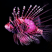 theredfish's avatar