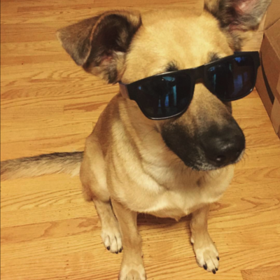 Neil Shah's avatar