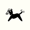 newsletterxyz's avatar