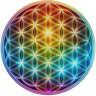 Adam Day's avatar