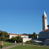 Campanile's avatar
