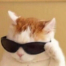 NNayak's avatar