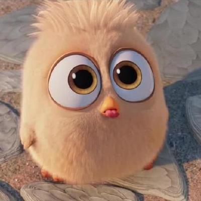 Veselin Nikolov's avatar