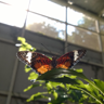 Lunaticus94's avatar