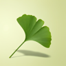 jaydenyuchi's avatar