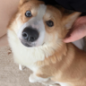 Muri's avatar