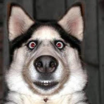 jawmes's avatar