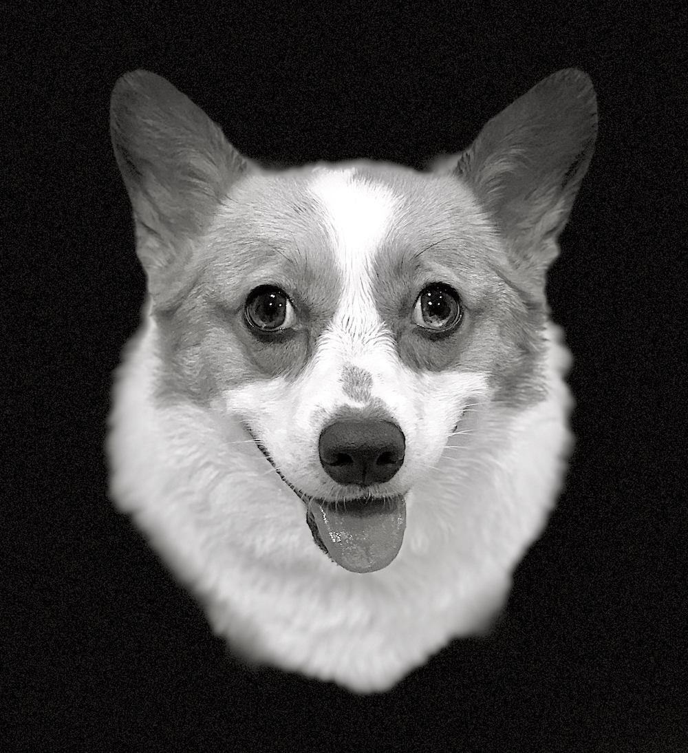 Dennis Pham's avatar