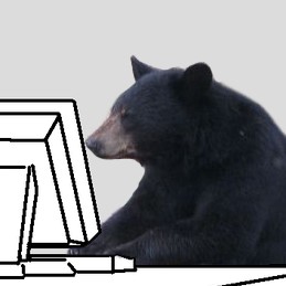 ifthereisabear's avatar
