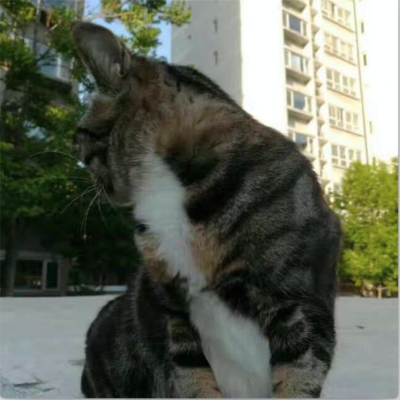 katecc's avatar
