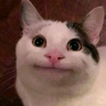 vioishere's avatar