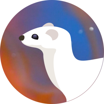 Vlad Mitkowski's avatar