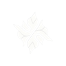 nokah's avatar