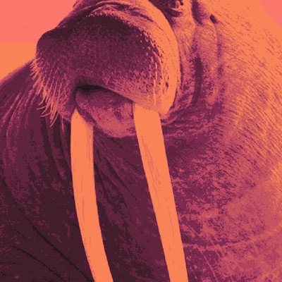 PseudoWalrus's avatar