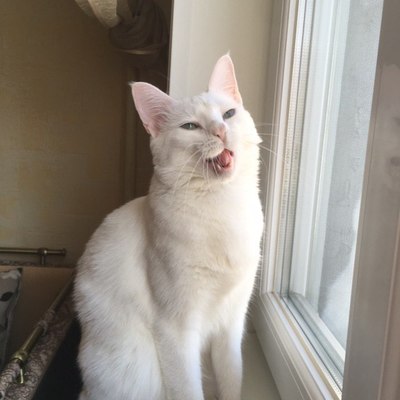 Ksenia's avatar
