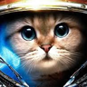 mcdanielmark473's avatar