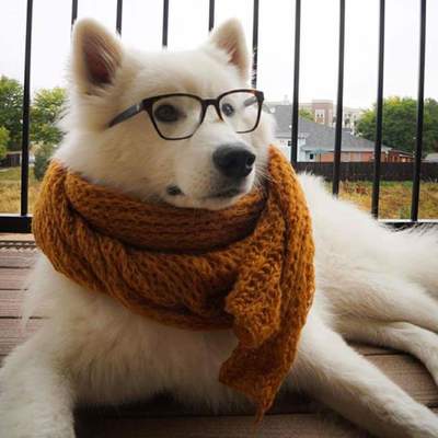 Matt's avatar