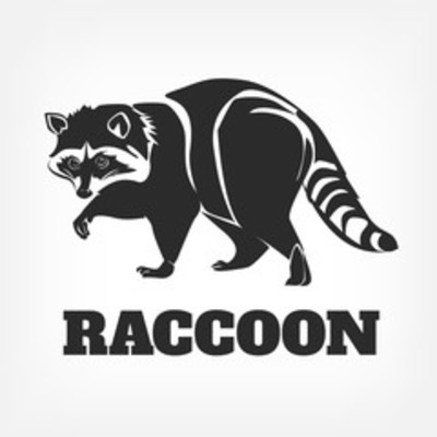 NYC_Raccooon's avatar