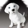 AlexandraMcLean's avatar